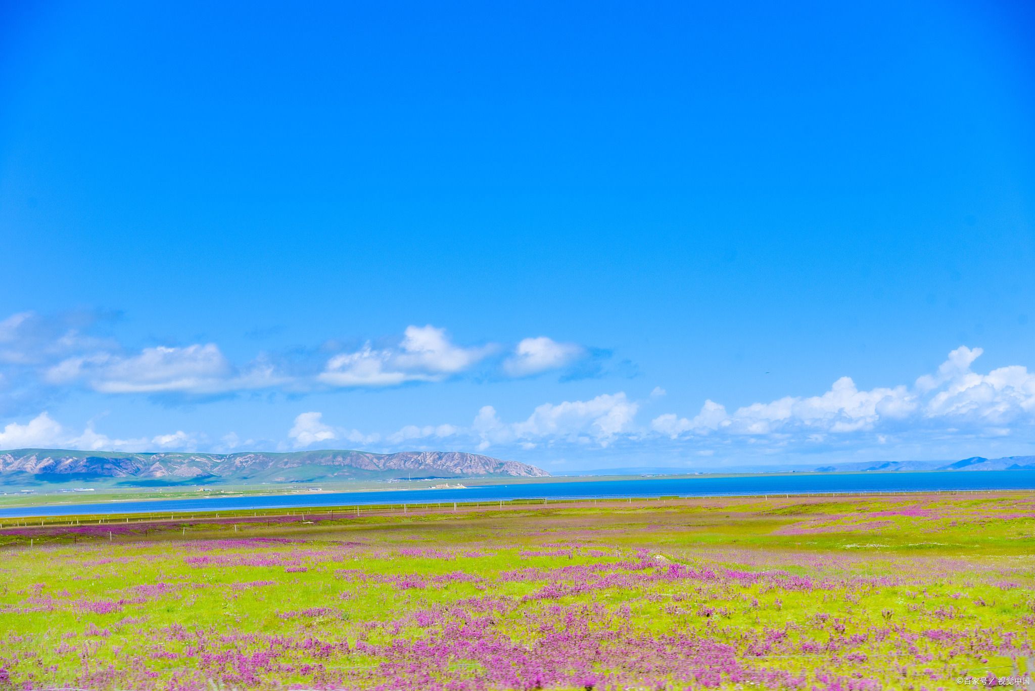 青海旅行包车